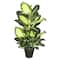 3.3ft. Potted Artificial Green & White Dumb Cane Tree